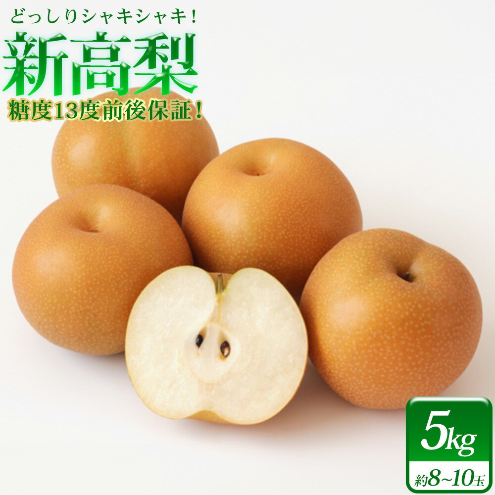【ふるさと納税】小山農園の新高梨　5kg　糖度13度前後保証　【11246-0394】
