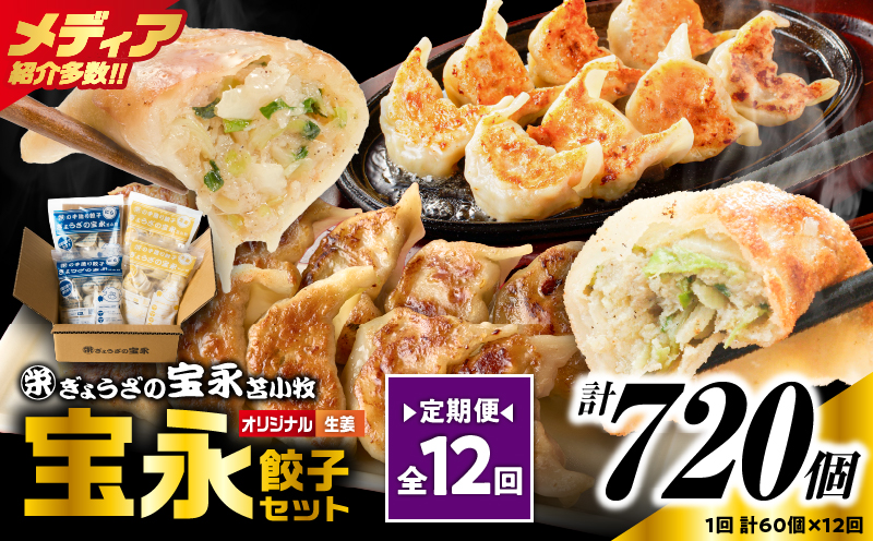 【定期便・全12回 毎月】手包み餃子 ぎょうざの宝永 生姜餃子60個セット（宝永餃子15個入×2袋・生姜餃子15個入×2袋）　T004-T05-02-05