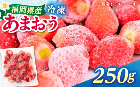 福岡県産 冷凍あまおう 250g（250g×1個）[ABEB024] いちご イチゴ 苺 果物 フルーツ [ABEB024] 