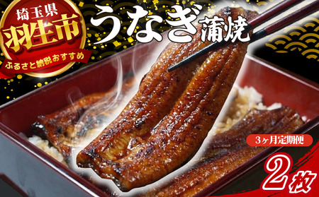 【定期便 3ヶ月】うなぎ 蒲焼 2枚 セット 120g × 3回 山椒付き 冷蔵 創業170年 魚徳