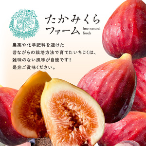 【期間限定】甘味凝縮 いちじく 750g×1【2500C08201】