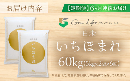 【先行予約】定期便 ≪6ヶ月連続お届け≫ 令和7年産 新米 いちほまれ 白米 10kg (5kg×2袋)【2025年11月上旬以降順次発送予定】精米 福井県 美浜町産  こめ コメ お米 おこめ 5キ