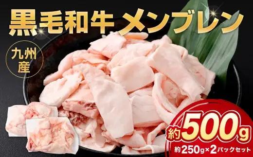 九州産 黒毛和牛 メンブレン 約500g（250g×2パック）牛肉 ハラミ 皮 冷凍 福岡県 北九州市