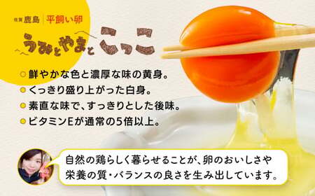 たまご 鶏卵【定期便】佐賀県鹿島産 平飼い卵「うみとやまとこっこ」上田養鶏場 たまご20個×2回 卵 タマゴ 玉子焼きB-396