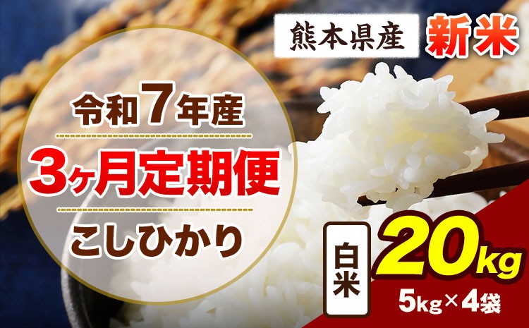
            【3ヶ月定期便】令和7年産 定期便 こしひかり 20㎏ 新米 白米 阿蘇 うぶやま 米 定期便 熊本県産 ふるさと納税 精米 ひの 米 こめ ふるさとのうぜい コシヒカリ コメ お米 おこめ
          