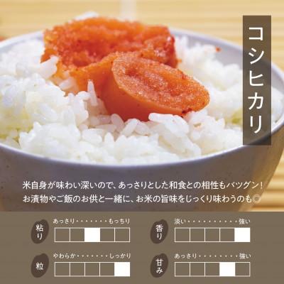 ふるさと納税 天栄村 「満天」食べ比べセット各5kg(ゆうだい21・特別栽培米コシヒカリ) |  | 02