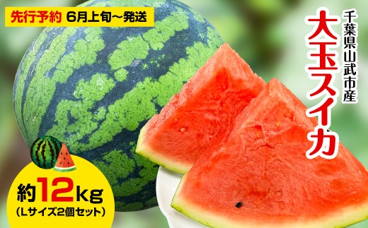 【先行予約・2027年6月上旬～発送】千葉県山武市産の大玉スイカ約12㎏（Ｌサイズ２個セット）／祭ばやし スイカ 大玉スイカ 西瓜 すいか 果物 フルーツ  国産 産地直送 甘い 千葉県 千葉県産 山武市  SMDA001