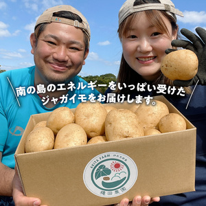 【 2025年 先行予約 】 新じゃがいも ニシユタカ 5kg 3月 お届け C056-004-02 じゃがいも 新じゃが いも 芋 ポテト 野菜 ミネラル豊富 料理 調理 先行受付 先行 予約 沖永