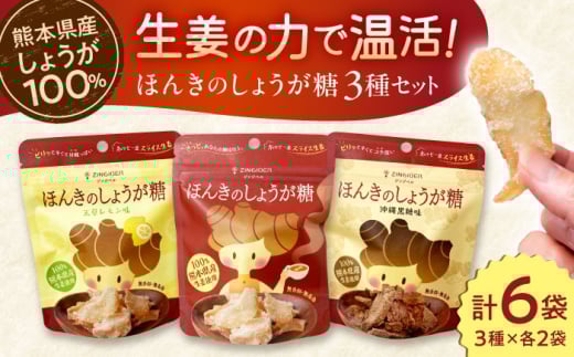 ほんきのしょうが糖 3種類 味違い セット 計6袋 / しょうが糖 沖縄黒糖味 天草レモン味 各2袋 チャック付き【ジンジベル】 [AYAD012]