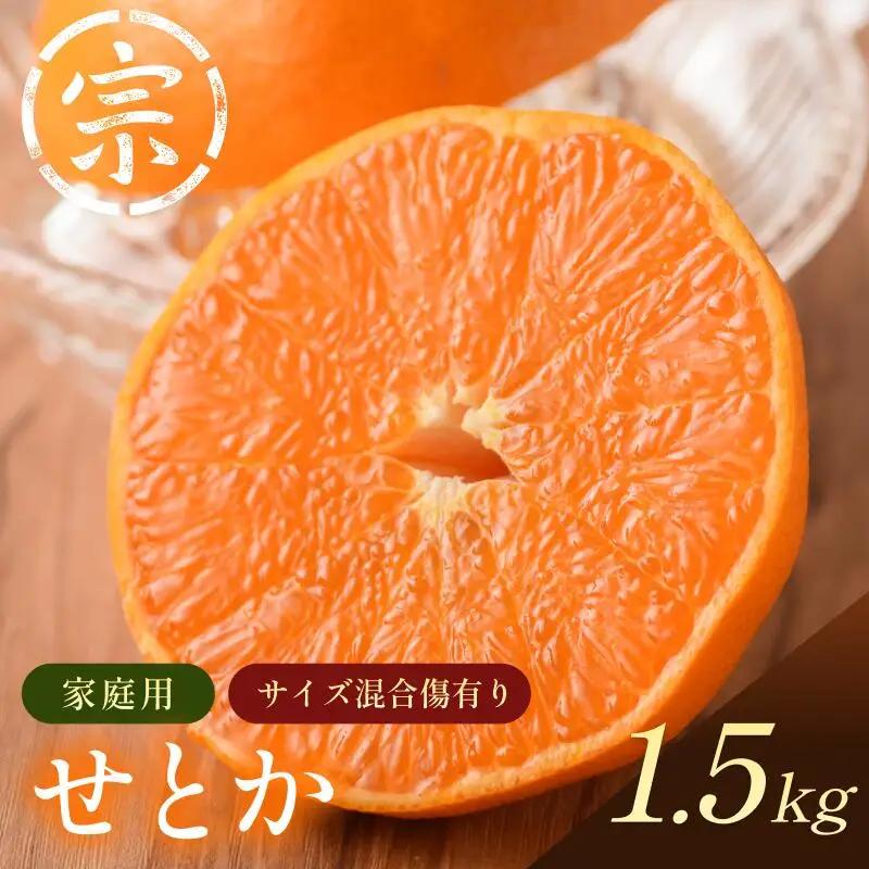 【先行予約】宗方印 せとか（家庭用）約1.5kg