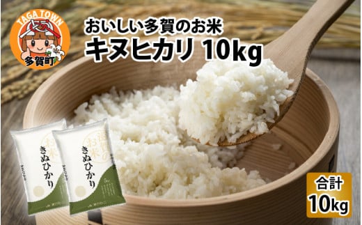 【令和6年産】キヌヒカリ（計10kg）おいしい多賀のお米 [B-00401]