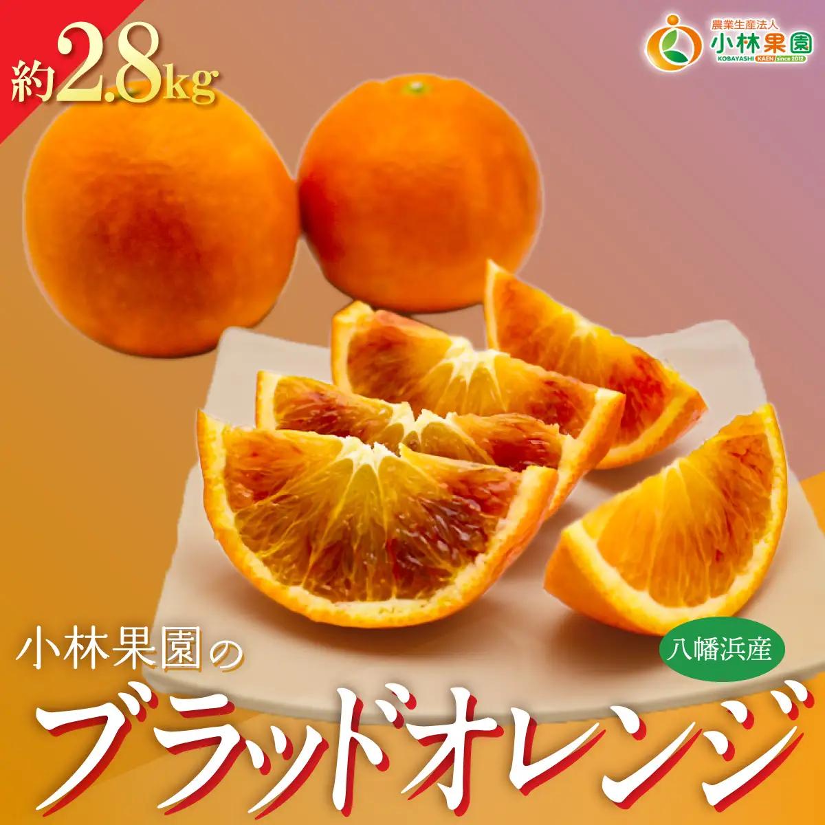【先行受付】愛媛・小林果園のブラッドオレンジ 約2.8kg【C24-32】【1519321】 YWTAD023