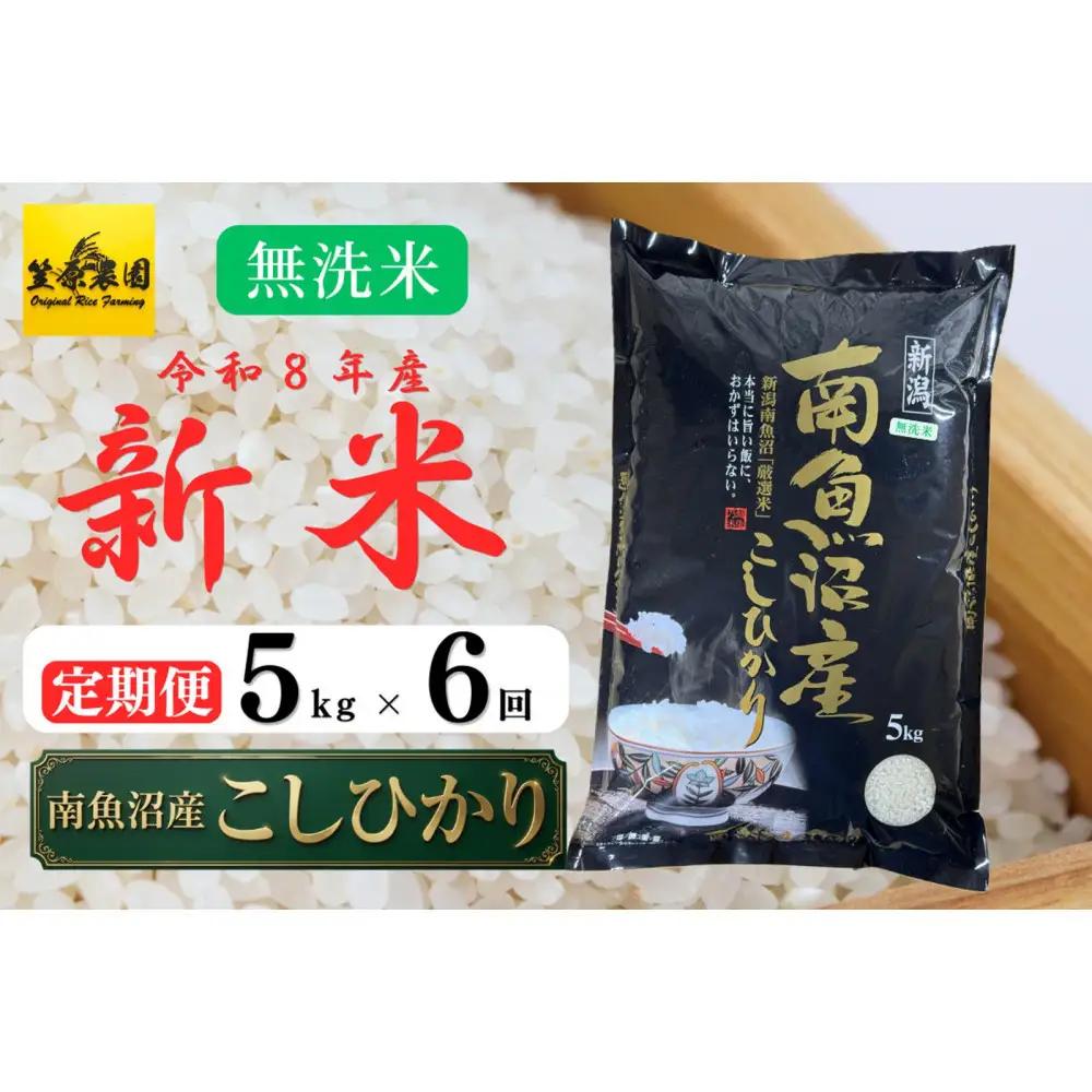 【定期便】【令和８年産新米予約】南魚沼産コシヒカリ無洗米（5kg×全6回）【９月下旬より1ヶ月以内に順次発送】 【銘柄米 無洗米 こしひかり コシヒカリ 定期便 魚沼産 南魚沼産 新潟米 新潟県産 国産米 産直 ご飯 御飯 ごはん】