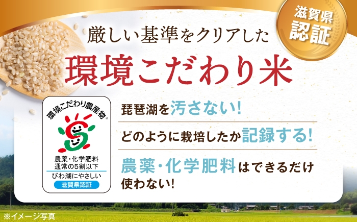 滋賀県湖北産 湖北のコシヒカリ 10kg (玄米)　米 お米 ご飯 ごはん ゴハン おにぎり 炊き込みご飯 人気 おすすめ