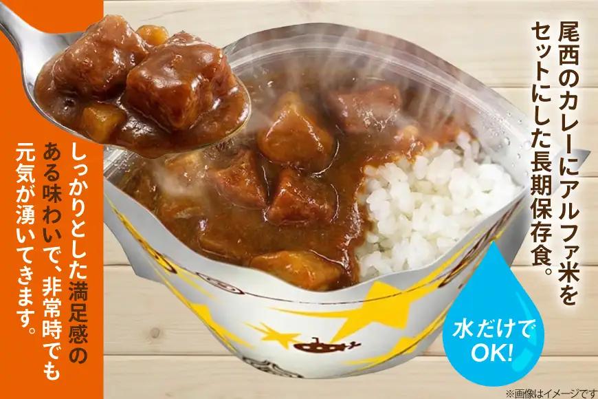 Coco壱番屋監修 尾西のカレーライス 3食 セット