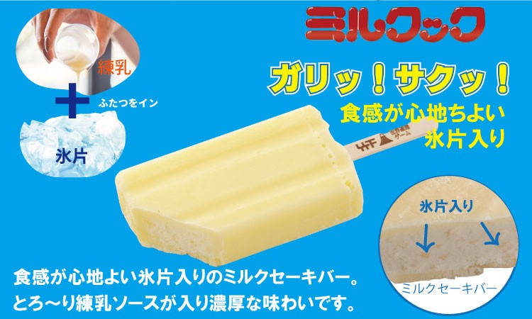 ブラックモンブラン ミルクック 計10本 食べ比べ アイス アイスバー アイスクリーム 棒アイス 佐賀県 小城市