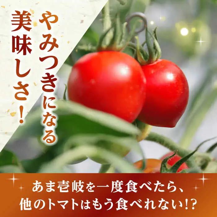 あま壱岐 トマト 約600~700g [JAE010] トマト