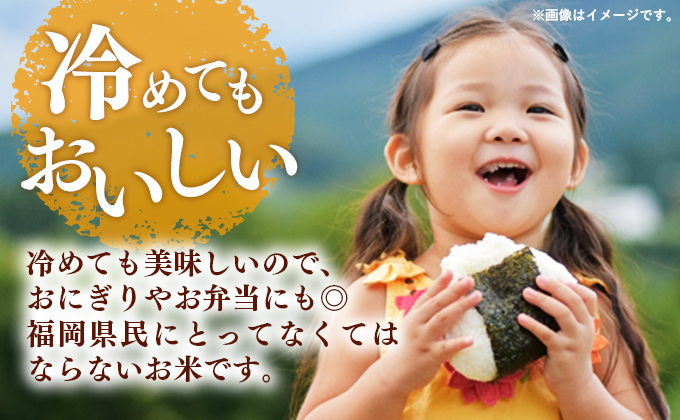 【無洗米】夢つくし 10kg(5kg×2袋)《30日以内に出荷予定(土日祝除く)》 米 こめ コメ 福岡県産米 ゆめつくし 人気 白米 おすすめ もちもち 福岡県 鞍手町