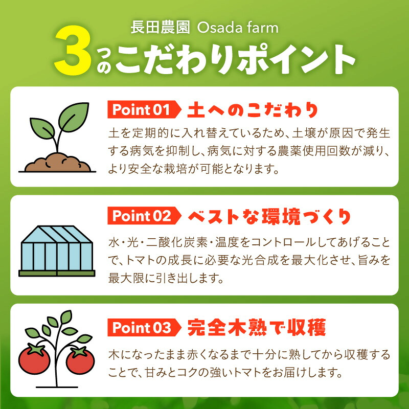 【2027年発送】【お試し】まるでトマトの宝石箱！フルーツジュエリートマト 約800g 長田農園 産地直送 トマト とまと 野菜 やさい フルーツ サラダ 濃厚 甘い ご褒美 プレゼント 美容 健康 