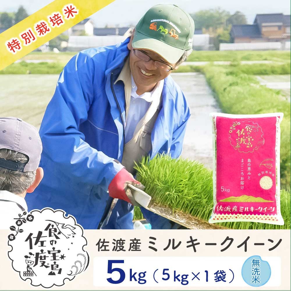 佐渡島産ミルキークイーン 無洗米5kg 令和7年産 特別栽培米195962-0723