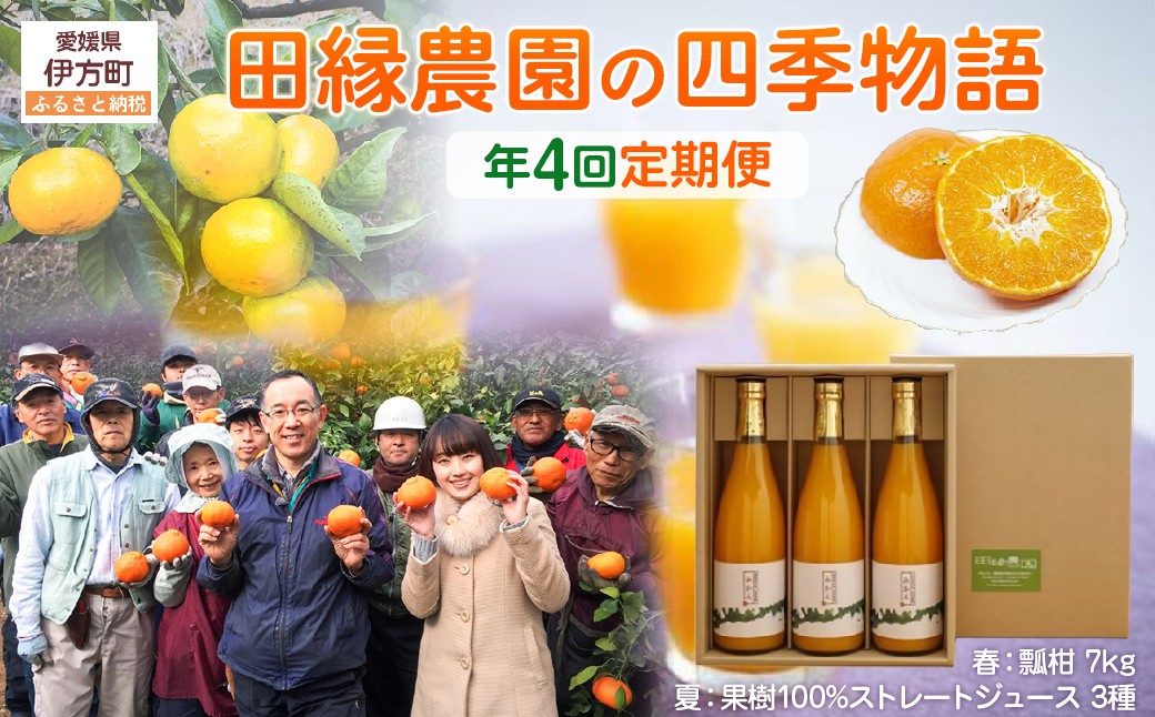 
                  【年4回定期便】【愛媛県産】田縁農園の四季物語　春：瓢柑（7kg） 夏：果樹100%ストレートジュース（720ml×3本 / みかん、せとか、不知火） 秋：早生みかん（10kg）、冬：甘平（2kg） 【 ふるさと納税 人気 おすすめ ランキング ジュース みかんジュース 蜜柑 フルーツ 果物 セット ギフト 愛媛県 伊方町 送料無料 】 IKTA010
                