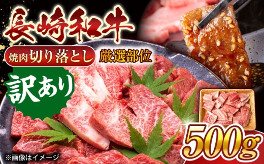 【訳あり】【A4～A5】長崎和牛焼肉切り落とし(肩ロース・バラ）　500g【株式会社 MEAT PLUS】 [QBS003] 冷凍 国産牛 牛肉 ブランド牛 焼き肉 牛肉 肉 お取り寄せ 焼肉 BBQ バーベキュー / 長崎県 佐々町