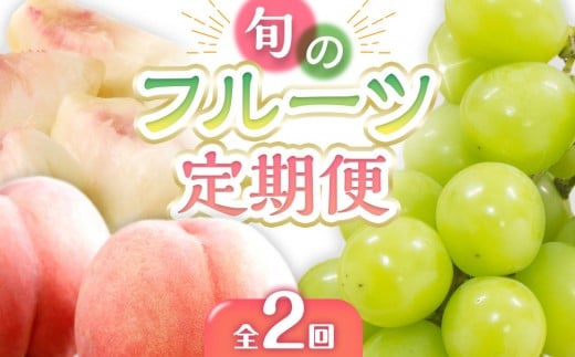 
            【定期便全2回】旬のフルーツ定期便 (桃 シャインマスカット)【もも 葡萄 ぶどう 旬 人気 果物 くだもの フルーツ 香川県】
          