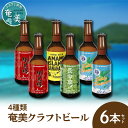 【ふるさと納税】クラフトビール ブラウンエール ヴァイツェン ペールエール 330ml 4種類 計6本 家飲み ビール 地ビール 瓶ビール 鹿児島 奄美大島 純黒糖 ショウガ 島ばなな 長命草 シークニン ソルティー