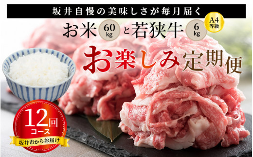 
            【定期便 12回コース】 坂井市産コシヒカリ 計60㎏ ＋ 若狭牛A4等級がっつり 計6㎏ [O-3255]
          