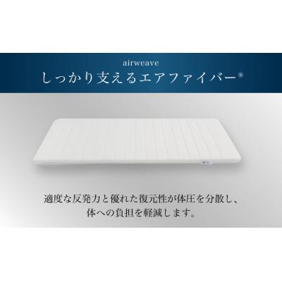 ふるさと納税 幸田町 エアウィーヴ ポータブル 01 |  | 01