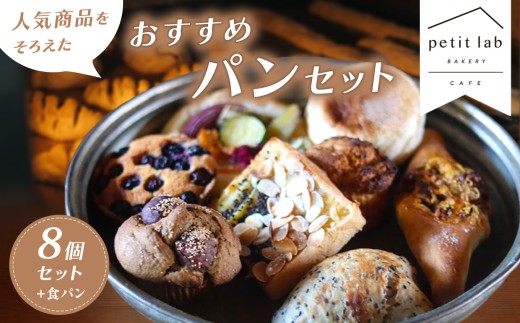 petit lab Bakery おすすめ パン 8個 セット + 食パン｜ パン 手作り 食事パン ハード系 おやつパン セット 詰合せ 山口県 山口 美祢市 美祢
