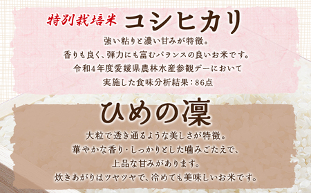新米＜令和7年産 西予市宇和町産 特別栽培米コシヒカリ・ひめの凜 食べ比べセット（各約5kg）＞ お米 コメ こめ 白米 精米 単一原料米 穀物 こしひかり ひめのりん 朝食 低農薬 特産品 三好フク