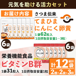 No.1298-A ＜定期便・全3回(隔月)＞活力セット(てまひま にんにく卵黄・ビタミンB群/各2袋×3回 計12袋) 鹿児島 日置市 ニンニク 健康食品 加工食品 栄養 元気 有精卵 カプセル 手