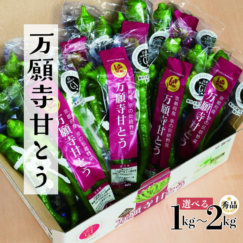 【ふるさと納税】【夏発送】 選べる容量 万願寺甘とう （ 1kg / 1.2kg / 2kg ） 【 国産 旬 季節の野菜 詰め合わせ 京のブランド産品 京野菜 万願寺 まんがんじ 野菜 夏野菜 化粧箱 贈答 贈り物 ギフト 贈り物 お土産 手土産 JA 京都 綾部 】