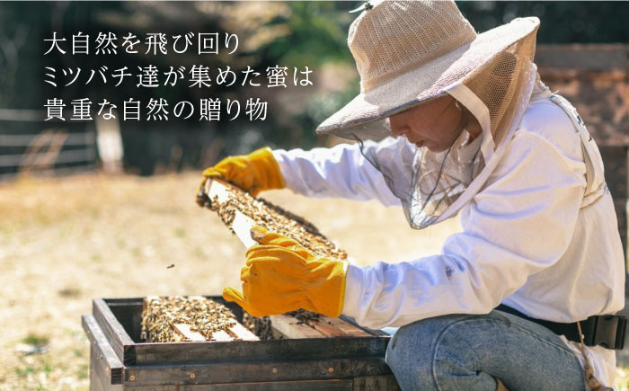 お取り寄せ はちみつ 蜂蜜 ハチミツ 高級