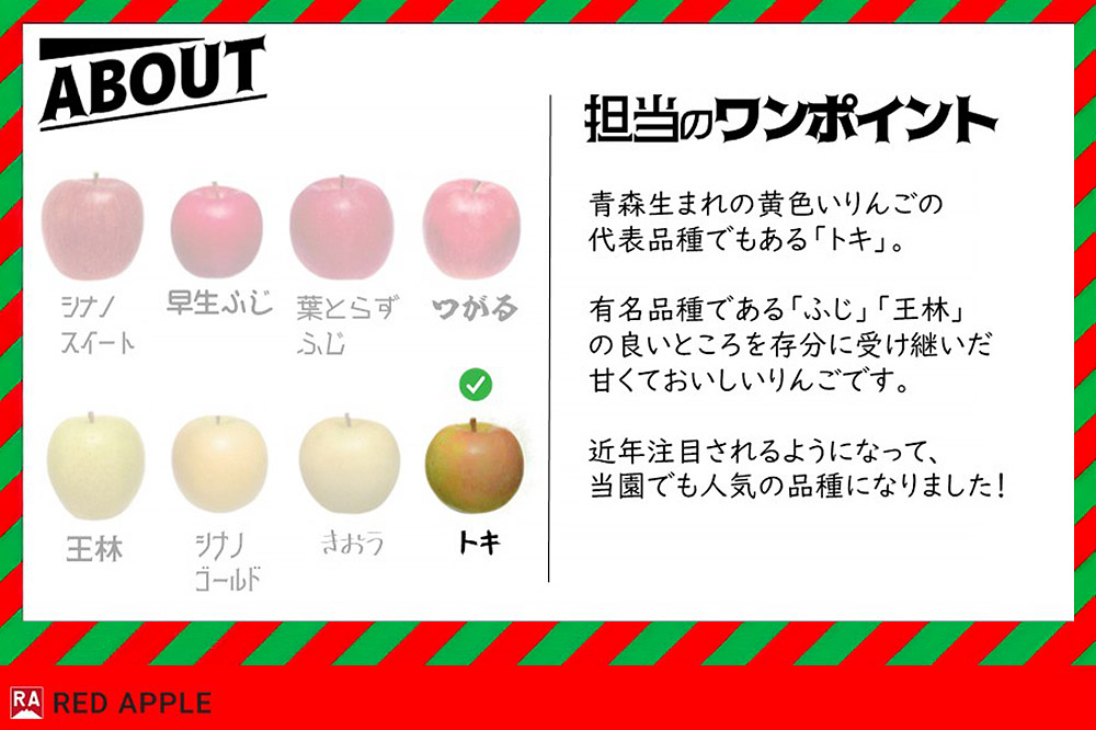 りんご【訳あり】家庭用 トキ 約10kg
