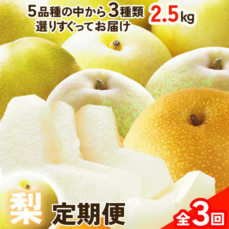 【ふるさと納税】田園紳士厳選「梨好きさんのための定期便3回」（1品種（各約4〜6玉）×3回（計3品種））