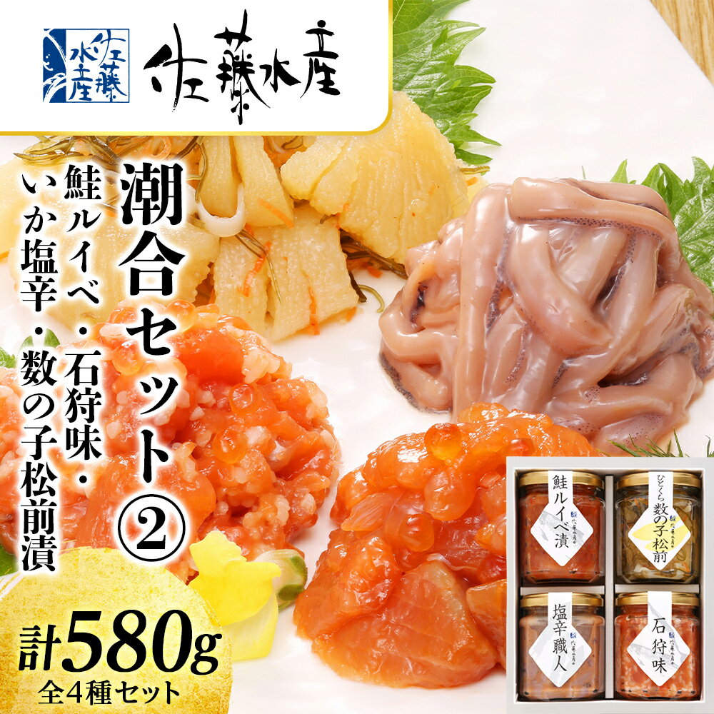 【ふるさと納税】 〈佐藤水産〉潮合セット2.鮭ルイベ 石狩味 塩辛 松前漬 魚貝類 サーモン 数の子 塩辛 鮭 魚貝類 漬魚 いくら 松前漬【北海道千歳市】ギフト ふるさと納税