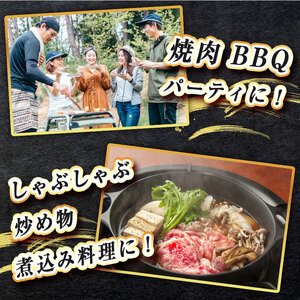 数量限定！選べる 極上ステーキ やまぐち和牛 燦 (きらめき) サーロイン 400g