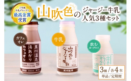 
                  山吹色のジャージー牛乳 人気3種セット 単品/6ヶ月 3種 12本 ジャージー牛乳 飲むヨーグルト 牛乳 200ml 150ml カフェオレ コーヒー牛乳 詰め合わせ アソート セット 乳製品 飲料 健康 腸活 免疫力アップ 乳酸菌 ご当地牛乳グランプリ 最高金賞 ご当地 ギフト 贈答用 山のいぶき 熊本 阿蘇 南小国町 定期便 送料無料
                