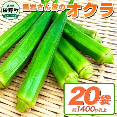 ふるさと納税 田野町 【四国一小さなまちのオクラ】黒岩さん家のオクラ　20袋