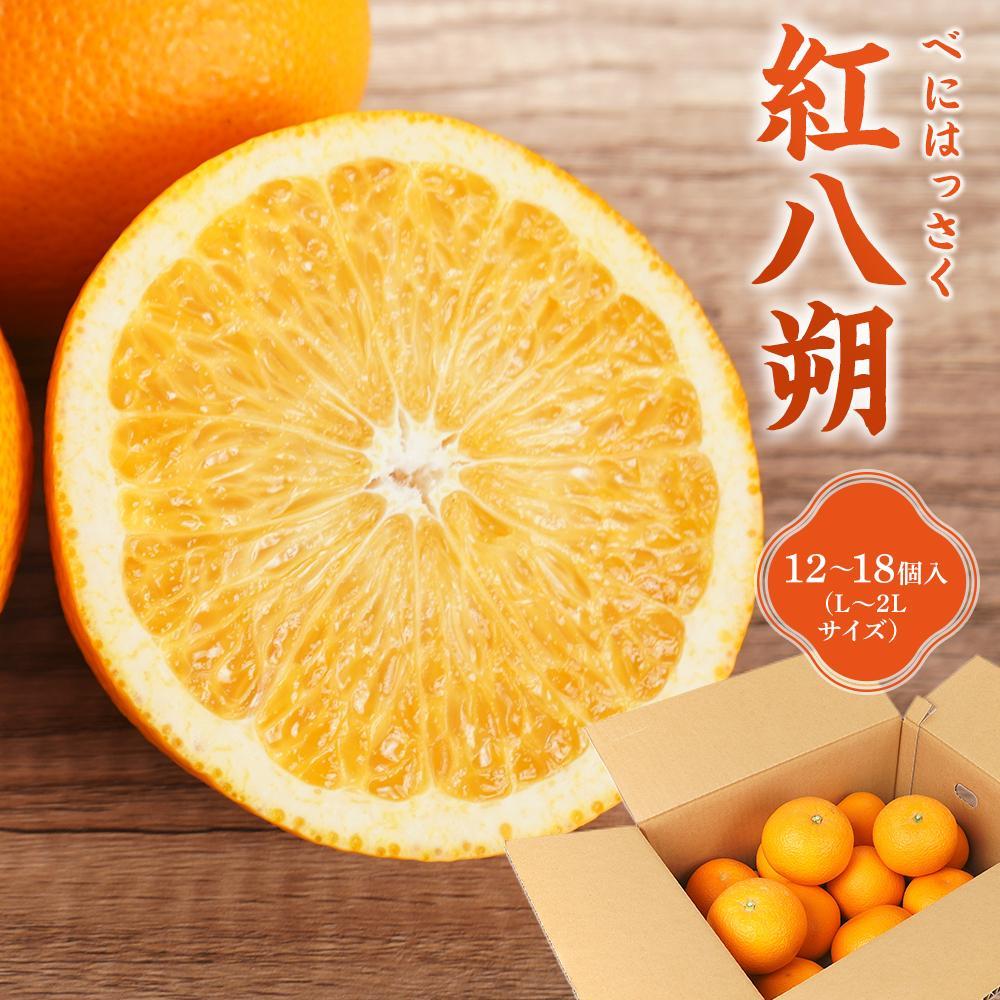 【ふるさと納税】先行予約！希少な紅はっさく 12～18個入り（L～2Lサイズ）［2026年1月中旬頃から発送］［KG9］ | はっさく フルーツ 果物 くだもの 食品 人気 おすすめ 送料無料