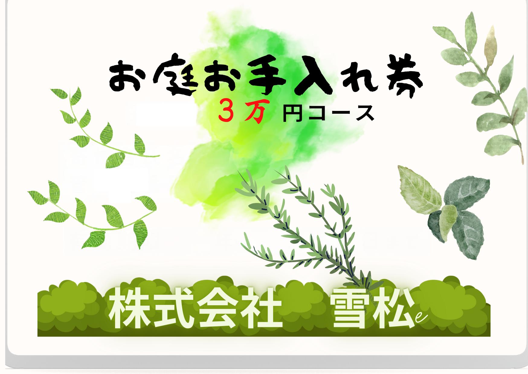 
                  雪松　お庭手入れ３（３万円コース）｜鳥取 岩美 お手入れ【63023】
                