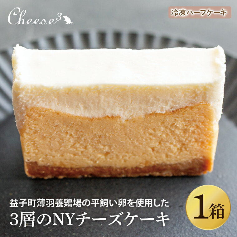 【ふるさと納税】3層のNYチーズケーキ　冷凍ハーフケーキ｜栃木県 益子町 ふるさと納税 チーズケーキ NYチーズケーキ ケーキ 冷凍ケーキ（CP005）