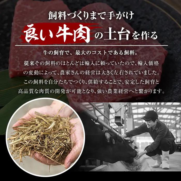 A5等級 鹿児島県産 黒毛和牛 切り落とし 肉 (計1.75kg・250g×7P) 牛肉 赤身 国産【LRプラスK】A230-v02