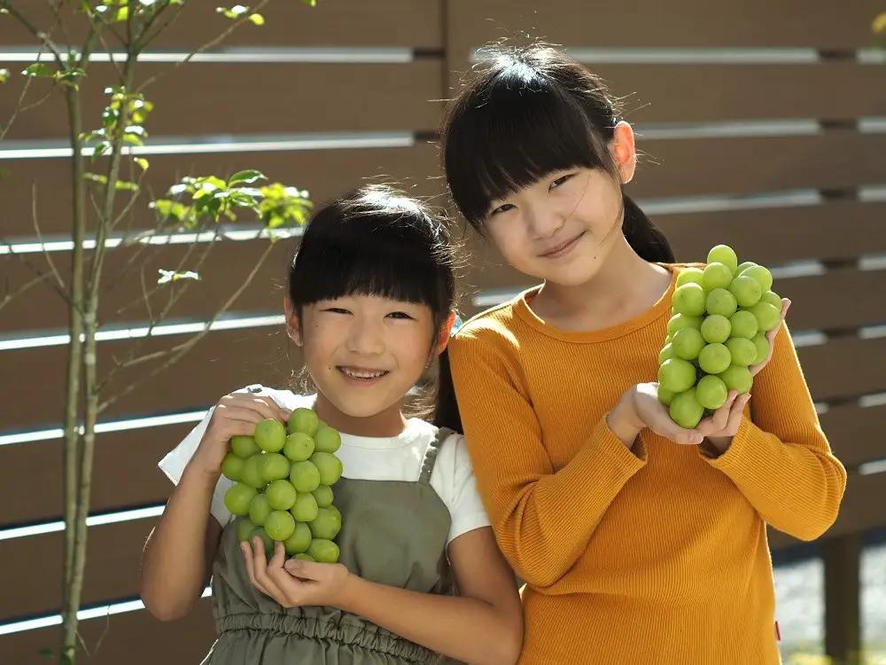 【定期便：全２回】完熟シャインマスカット１ｋｇ以上を２回お届け　0140-2603