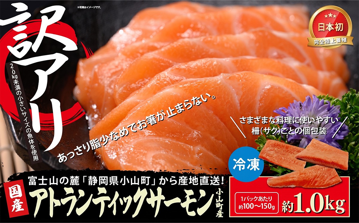 【訳アリ】小山町産 アトランティックサーモン 約1kg（柵）魚体2.0kg未満 | サーモン 刺身 海鮮丼 小分け 真空パック 鮭 養殖 国産 訳あり 1キロ 切り身 静岡県 小山町
