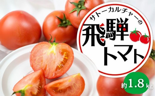 
                  ＜8月から寄附額改定＞《先行予約》令和8年産 飛騨トマト 約1.8kg / 産地直送 旨味 たっぷり 野菜 とまと トマト パスタ 料理 や ジュース に！ 麗月 夏野菜 旬 やさい サトーカルチャー
                