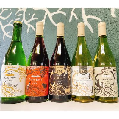 ふるさと納税 上富良野町 【野生酵母&amp;無濾過】赤白泡ワイン5本 多田ワイナリー