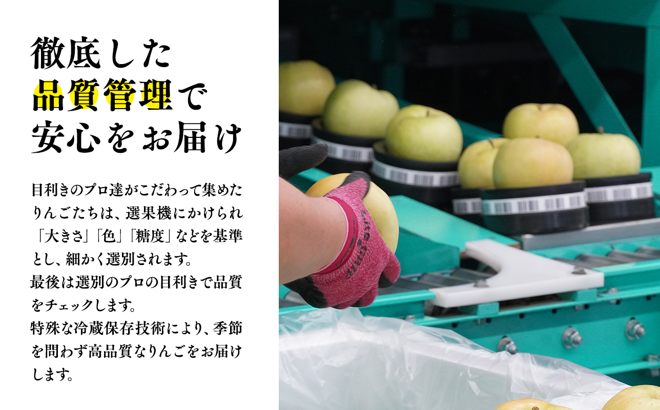 １０月発送 訳あり 家庭用　甚八りんご紅玉５kg【青森県 平川市 マルジンサンアップル】